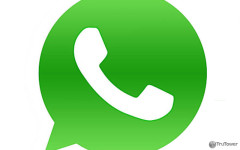 WhatsApp Messenger Still Number One in South Africa Versus Other Messaging Apps WhatsApp Messenger Still Number One in South Africa Versus Other Messaging Apps