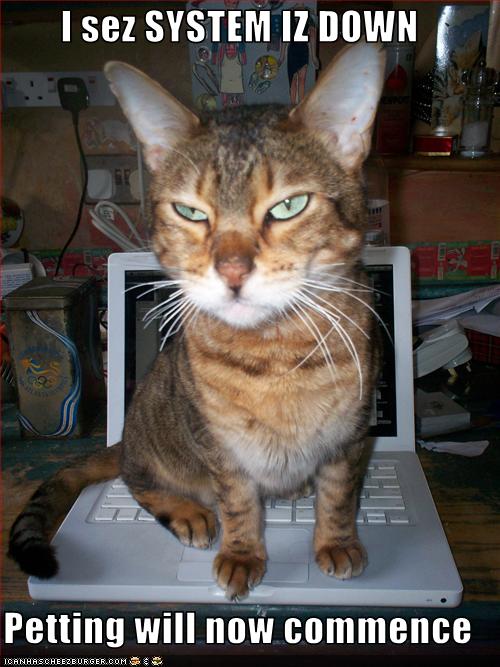 Funny Technology Cat Picture - System is Down