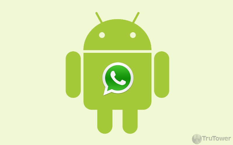 WhatsApp, WhatsApp for Android, WhatsApp friends