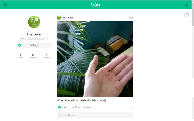 Vine, Vine for web, Vine app